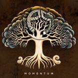 Artwork voor "Momentum"