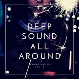 Artwork voor "Deep Sound All Around, Vol. 4"