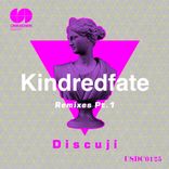 Artwork for "Kindredfate Remixes, Pt. 1"
