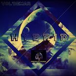 Portada para "Hybrid"