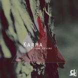 Artwork for "Karma"