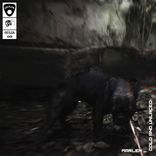 Artwork for "Cold and Unlaced"