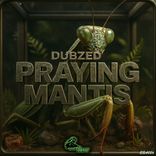 Artwork for "Praying Mantis"