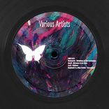 Artwork for "Ephemere 029"