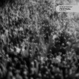 Artwork for "Festival"