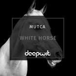 Artwork voor "White Horse"
