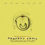 Portada para "Perfect Trail"