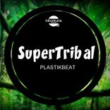 Artwork for "Super Tribal"