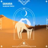 Artwork for "Sahara"