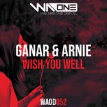 Artwork voor "Wish You Well"