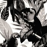 Artwork for "Feel It"