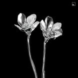 Artwork for "Karate Kid"