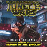 Artwork for "Jungle Wars: Episode VI - Return Of The Junglist LP (Mixed by Mrs Magoo)"