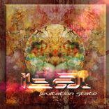 Artwork voor "Levitation State"