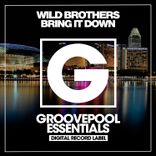 Artwork for "Bring It Down"