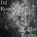 Artwork for "The Realm"