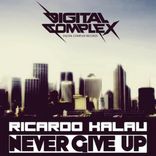 Artwork voor "Never Give Up"