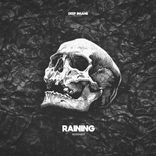 Portada para "Raining"