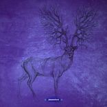 Electromagnetic Pulse