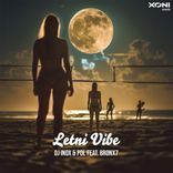 Artwork for "Letni Vibe"