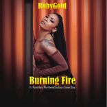 Artwork für "Burning Fire"