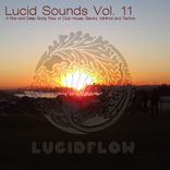 Artwork for "Lucid Sounds, Vol. 11 - A Fine and Deep Sonic Flow of Club House, Electro, Minimal and Techno"