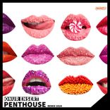 Artwork for "Penthouse (Onur Ensert 2024 Remix)"