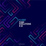 Artwork for "Funk Evolutions # 22"