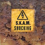 Artwork for "Shocking"