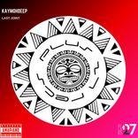 Portada para "Last Joint"