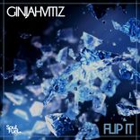 Artwork voor "Flip It"