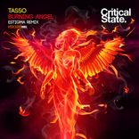 Artwork voor "Burning Angel"