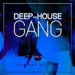 Artwork für "Deep-House Gang, Vol. 4"