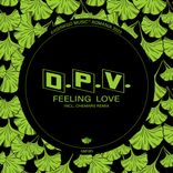 Artwork for "Feeling Love"