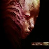 Artwork voor "Killer"