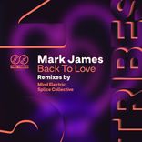 Artwork for "Back to Love"