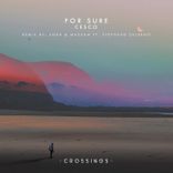 Artwork for "For Sure"