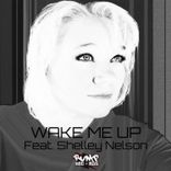 Portada para "Wake Me up feat. Shelley Nelson"