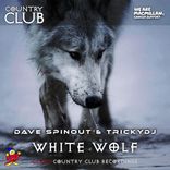 Artwork for "White Wolf"