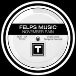 Artwork for "November Rain"