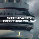 Artwork for "Everything You Say"