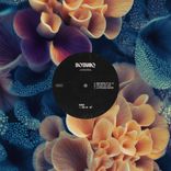 Artwork for "CD-10 EP"