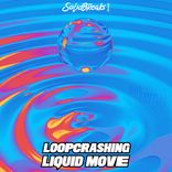 Portada para "Liquid Move"