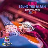 Artwork for "Sound The Alarm"