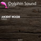 Artwork voor "Ancient Woods"