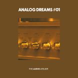 Artwork voor "Analog Dreams #01"