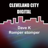 Portada para "Romper Stomper"