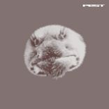 Artwork voor "Jefferson Shuffle"