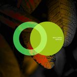 Artwork for "Arpadox"