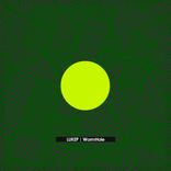 Artwork für "WormHole"